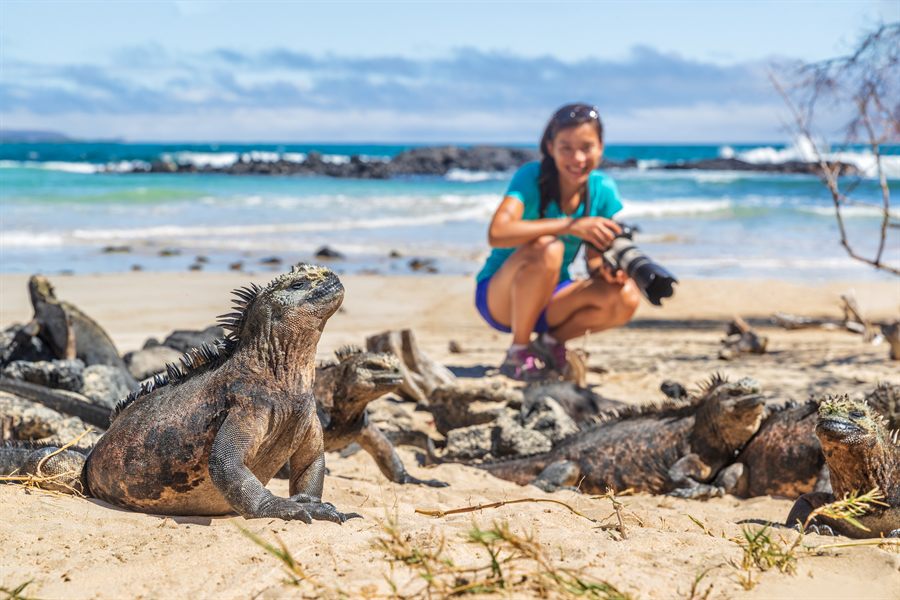Visitor photographing iguanas