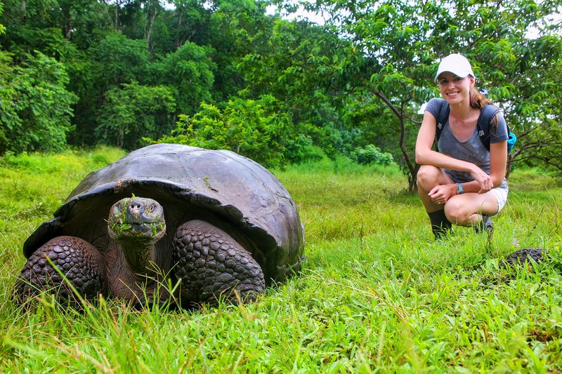 Visitor near a giant tortoise in the highlands