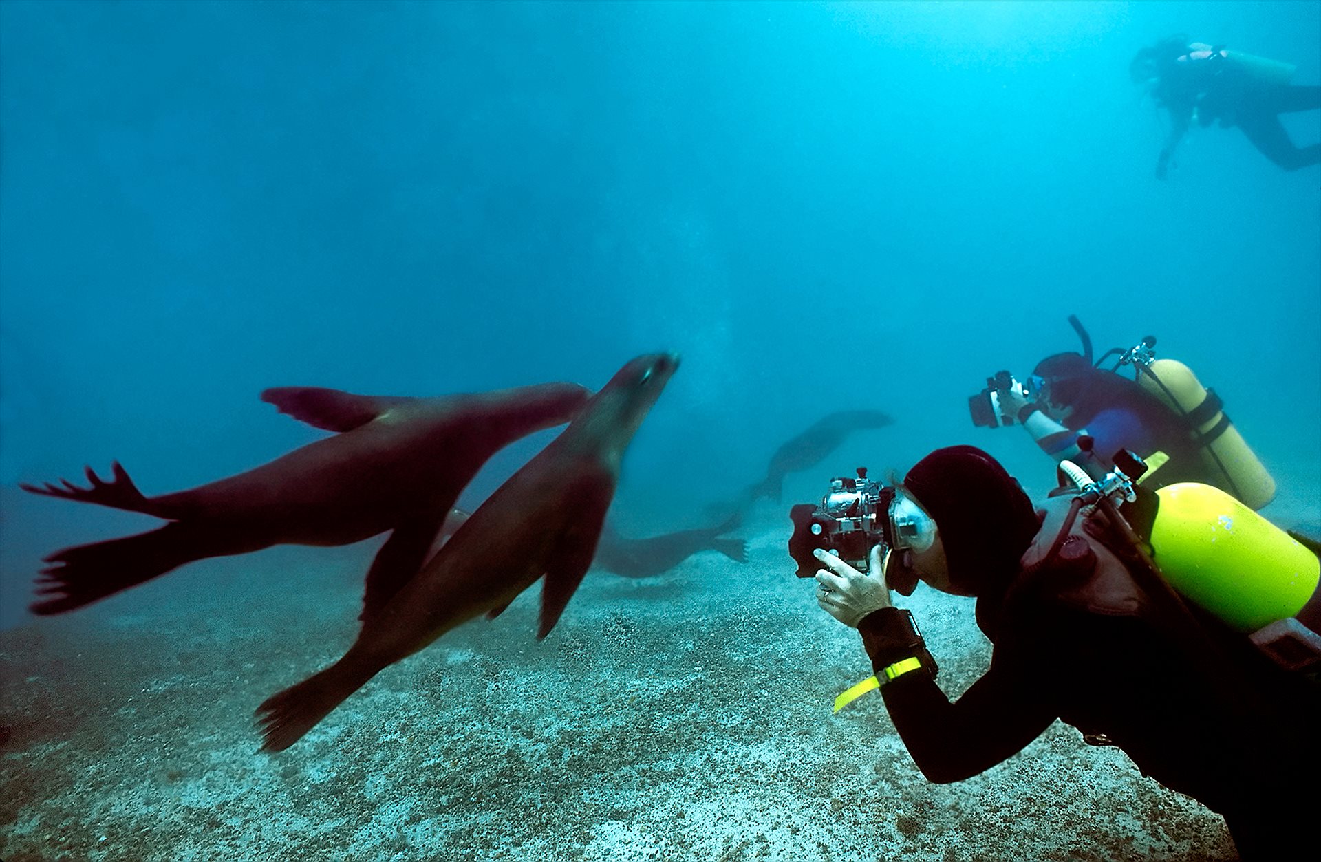 Galápagos Expedition Cruises &mdash; Galápagos, Ecuador